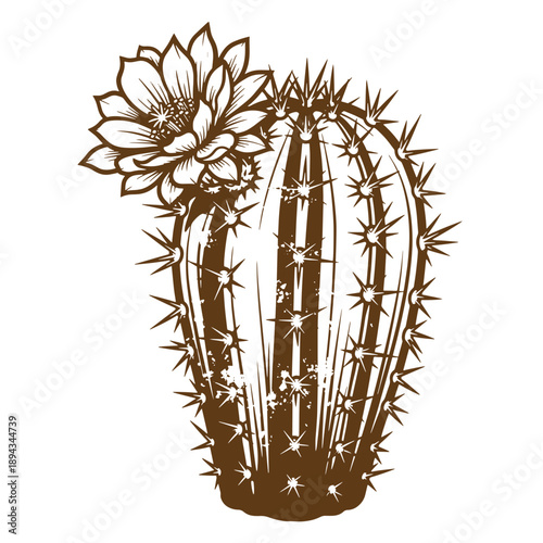 Vintage Grunge texture cactus with flower on top isolated on white background