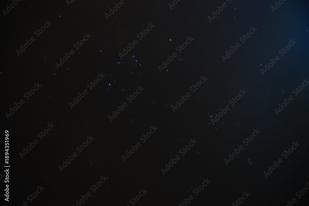 Fototapeta premium Millions of stars in the sky at the forest