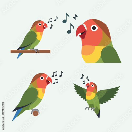 Lovebird Singing Moments