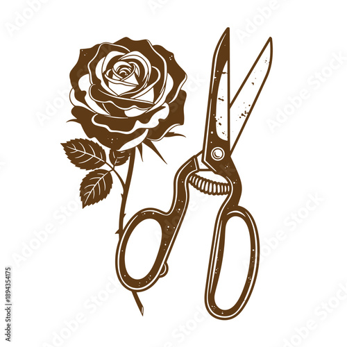 Vintage Grunge texture Vintage style illustration of rose flower and pruning shears on white background  gardening tool
