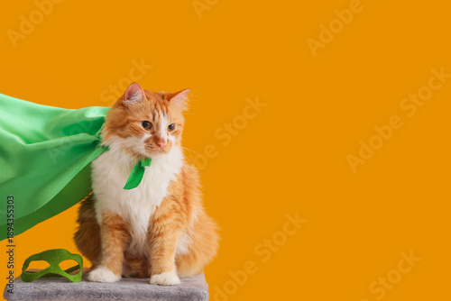 Cute cat in superhero costu...