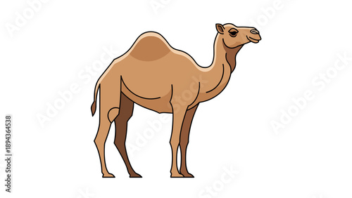 Camel Standing Alone in Simple Illustration.