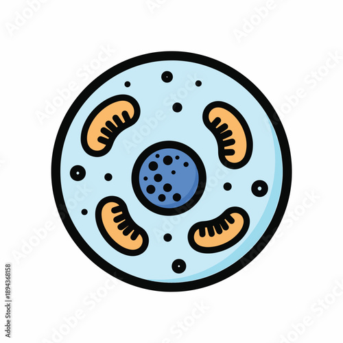 Cell Structure Diagram