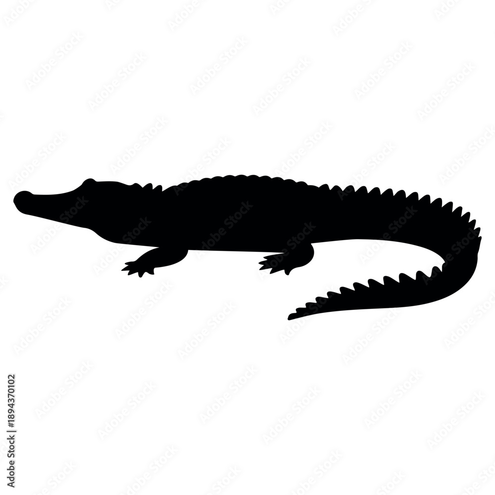 Fototapeta premium Black silhouette of an alligator side view with a transparent background