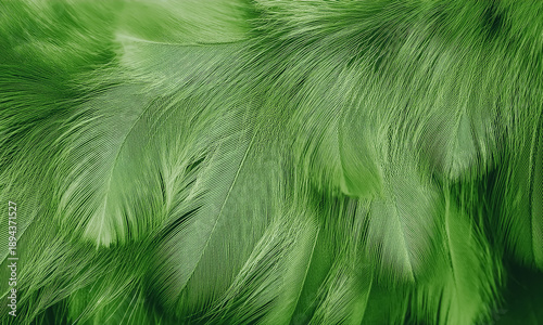 Abstract green gradient texture background, smooth color transition from light sage green to deep emerald, soft organic gradient, minimal and elegant