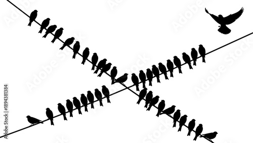 Silhouette birds perched on crossed power lines with one bird flying free symbolizing individuality, freedom and choice, minimalist black and white wildlife concept illustration