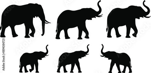 Elephant silhouette illustration set showing walking and trumpeting elephants, African wildlife animals, safari nature theme, powerful mammal poses, black vector collection isolated on white