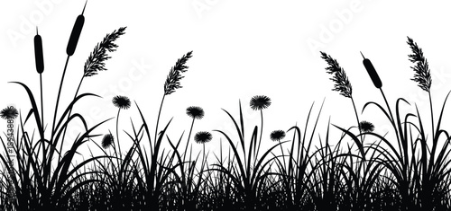 Black silhouette of marsh grass wetland plants with cattails reeds and wildflowers meadow nature border isolated on white background vector