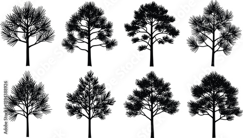 Black Silhouette Vector Set of Various Pine and Conifer Trees Isolated on White Background for Nature Landscape and Forest Design