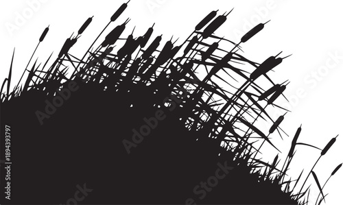 Silhouette of cattails against a white background landscape scene