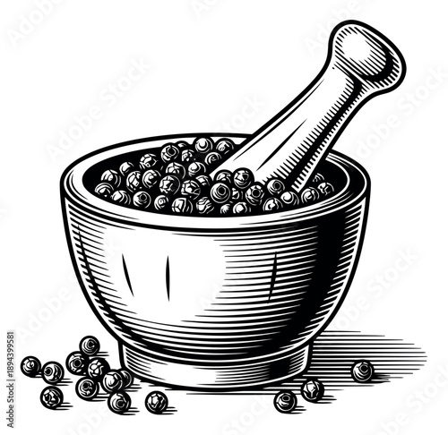 Vintage hand drawn illustration of a mortar and pestle depicting peppercorns being ground for culinary use