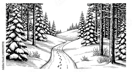 Hand drawn line art illustration of a winter forest path depicting a snowy landscape with pine trees and footprints for seasonal themes