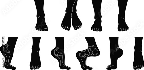 Human foot anatomy silhouettes, multiple angles with bone structure detail, medical illustration set, orthopedic and podiatry reference