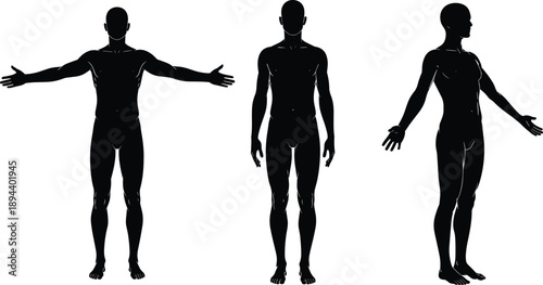 Male human body silhouette set, front side views, muscular figure reference, standing pose anatomy illustration, isolated