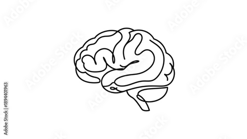 Minimalist line art illustration of a human brain.