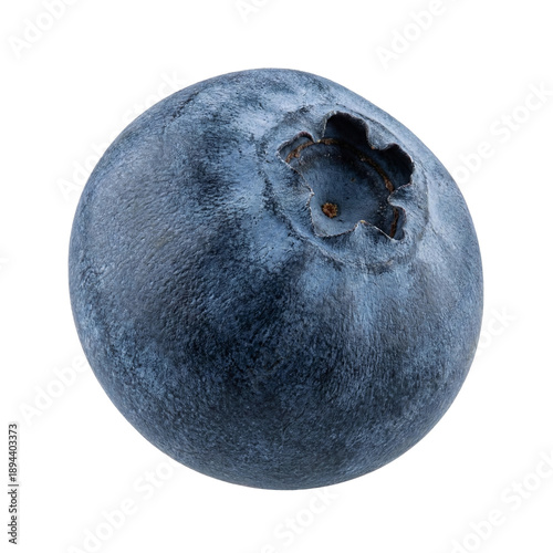 Close Up View of a Fresh Ripe Blueberry Fruit