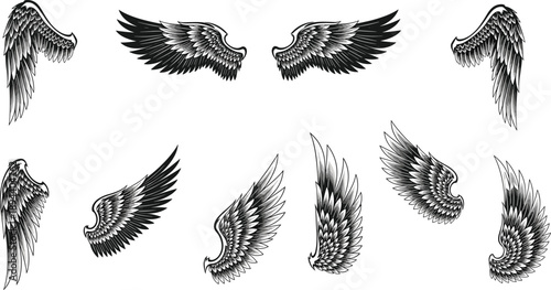 Detailed eagle wing set with feather texture, angelic flight element, heraldic bird tattoo, cad drawing flat vector illustration, isolated wings.
