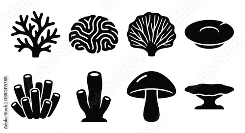 Coral and mushroom shapes, vector illustrations of underwater and forest plant elements. Icons and glyph.