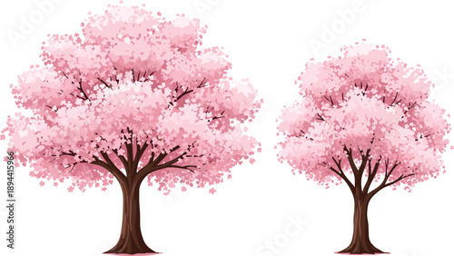 Pink cherry blossom trees with sakura flowers isolated spring floral landscape nature plant elements decorative vector illustration set