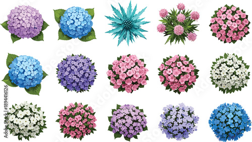 Top view colorful hydrangea flowers and flowering bushes collection isolated garden plants floral landscape elements for design vector
