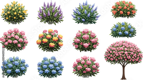 Collection of flowering bushes and shrubs colorful garden plants isolated vector set botanical landscape design decorative nature elements