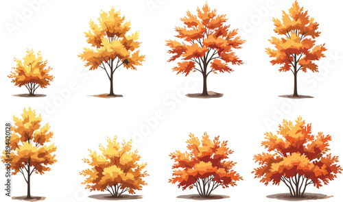 Set of autumn trees with colorful fall foliage isolated vector collection seasonal nature plants forest decoration design elements