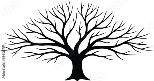 A silhouette illustration of a bare tree with intricate spreading branches