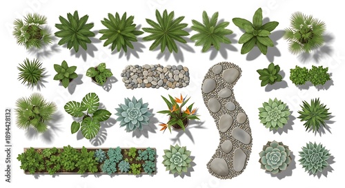 Top-down view of a lush garden with diverse plants, succulents, stone paths, and a decorative bird bath.