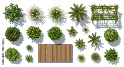 Top view of a garden scene with fruit trees, ornamental shrubs, a wooden deck, and diverse plants for landscaping.