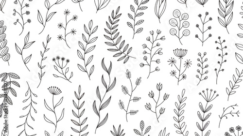 Seamless pattern of delicate hand drawn floral elements and botanical branches on transparent background