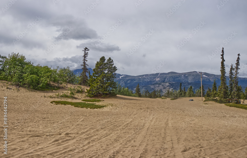 Obraz premium Snow still on the mountains - the northernmost desert in the world - Carcross, YT, Canada