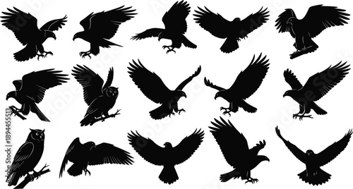 Eagle silhouette vector set, hawk flying collection, predatory bird icons, owl sitting on branch, falcon soaring wingspan, isolated wildlife raptor elements.