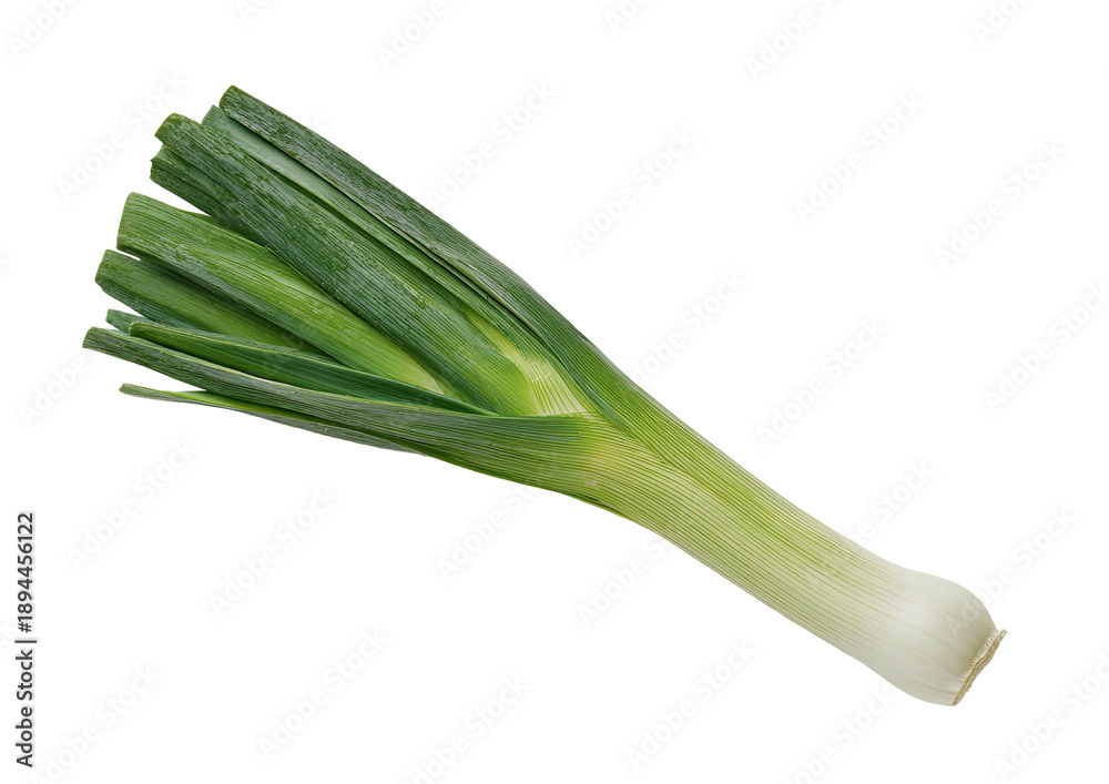 Fototapeta premium A vibrant, fresh leek, featuring bright green leaves and a crisp white bulb, isolated on black