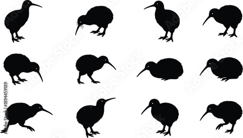 Set of kiwi bird silhouettes in various poses isolated on white background for wildlife vector illustration and New Zealand nature design