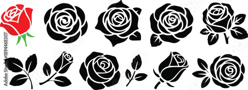 rose emblem and logo style illustrations for prints and packaging