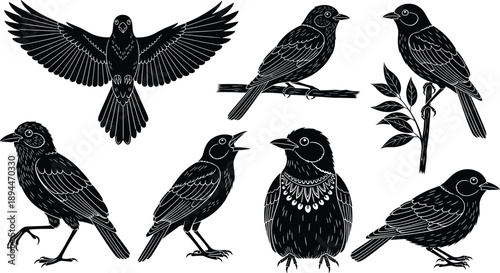 Black bird silhouette illustration set showing flying and perched songbirds, detailed avian poses, wildlife nature art collection, elegant vintage engraving style, isolated vector on white background