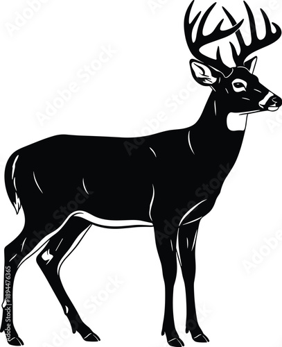 Black and white minimalist buck deer with large antlers illustration featuring a majestic wild stag standing isolated on white background for hunting and nature design
