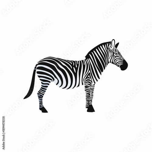 Striking black and white zebra illustration showcasing elegant stripes and form elegance