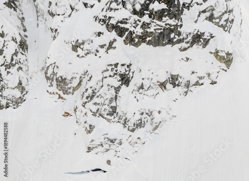 Konstfotografi Snowy Mountain Cliffs and Snow Field in Rugged Terrain, BC, Canada Landscape Alp