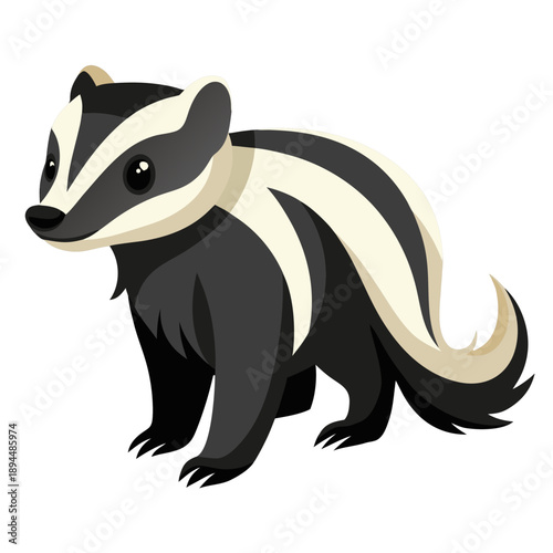 a badger featuring distinctive black and white striped markings on its face and body, a bushy tail, short legs with claws, and a stocky build, rendered in a clean.