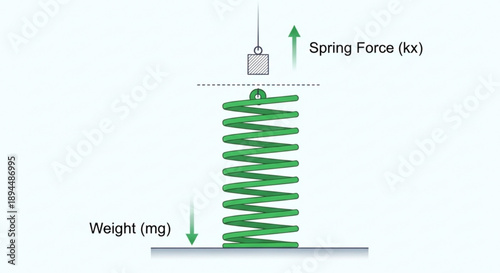 Physics spring force diagram with weight and spring constant illustrating hooke's law in action
