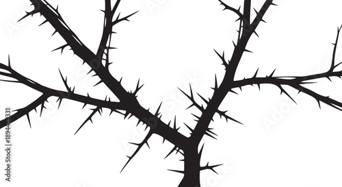 Silhouette of a bare tree branch with thorns isolated