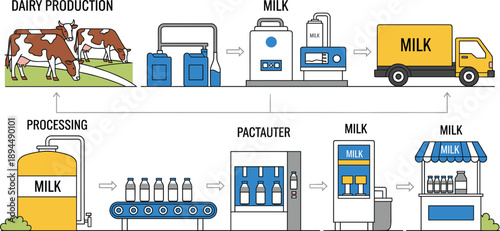 Vector infographic of milk dairy production supply chain from cow farming and processing to factory bottling transport and retail shop sale isolated on white background
