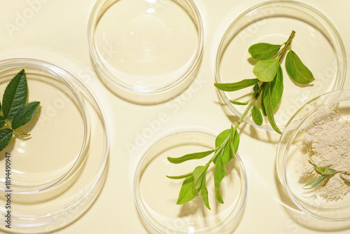 Petri dishes with sample an...