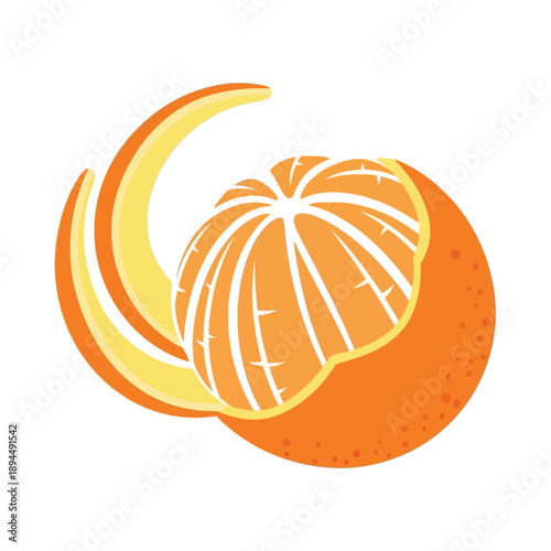 Vector illustration of sliced orange fruit on vibrant background, showcasing citrus elements in a modern vector art style