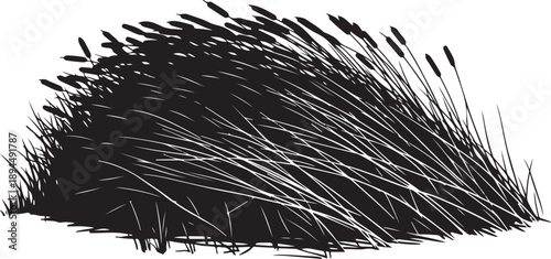 Black and white illustration of cattail plant in bloom