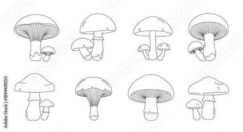 A set of eight various wild mushroom illustrations, depicted in a delicate and clean dashed line art or stitching style.