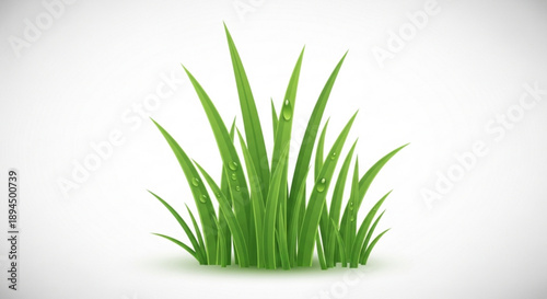 Vibrant green grass blades on white background with dew drops naturally lit