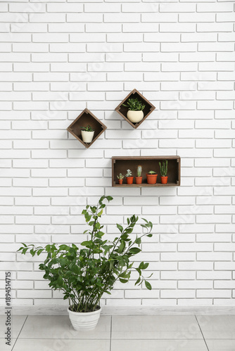 Shelves with succulents on ...