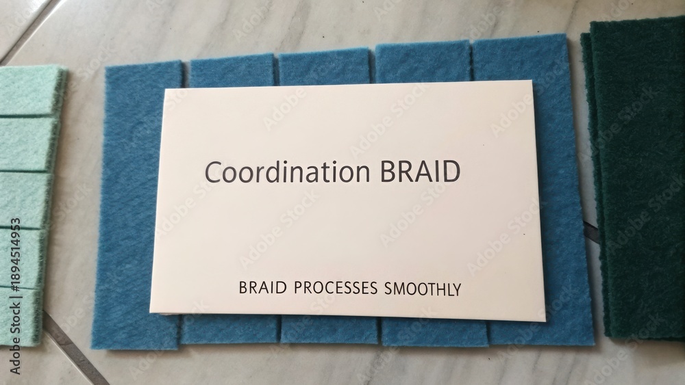 Obraz premium Braid Coordination Display with Colorful Felt Samples for Educational and Crafting Purposes with Smooth Process Emphasis